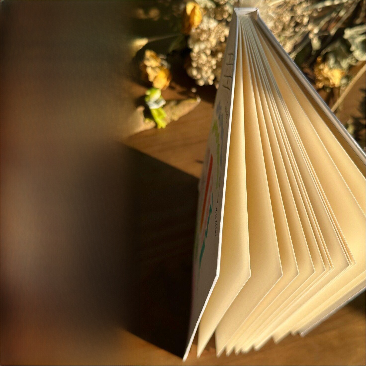 สมุดโน้ตปกแข็งแบบพับได้ลายวาดม - Journal Leather Hardcover บทวิจารณ์และราคา